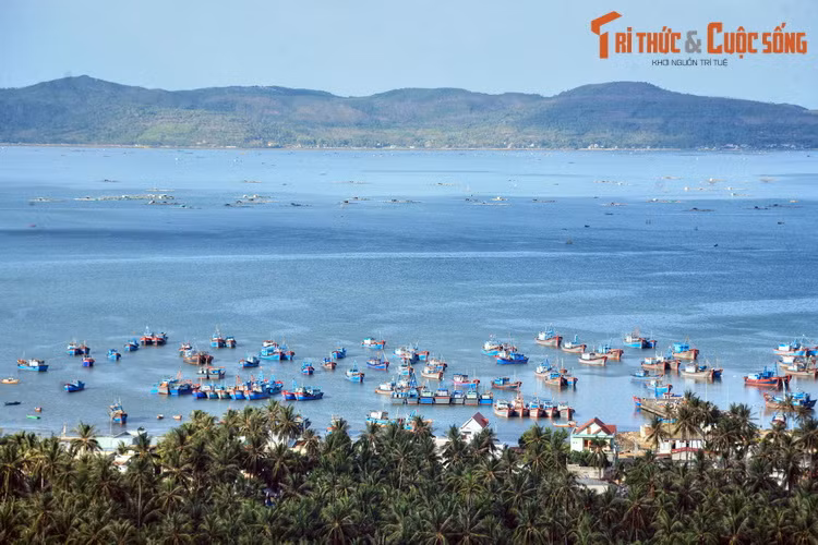 Vịnh Xuân Đài là một vịnh nhỏ nằm dưới chân dốc Găng thuộc địa phận Thị xã Sông Cầu, tỉnh Phú Yên, Việt Nam. Đây là một trong những vịnh được các chuyên gia đánh giá là có tiềm năng du lịch lớn nhất nhì miền Trung với cảnh sắc hữu tình, có nhiều đảo, bãi tắm rất đẹp và hoang sơ.