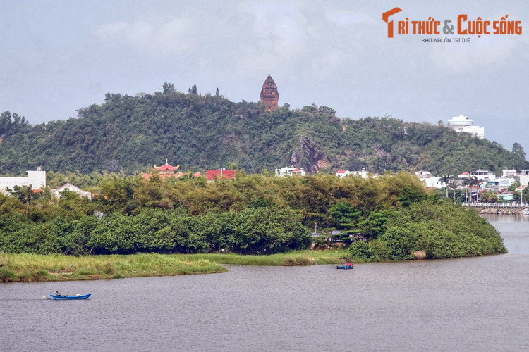 Tháp Nhạn là một tháp Chăm nằm trên núi Nhạn, một di tích - thắng cảnh tiêu biểu của thành phố Tuy Hòa. Tháp được người Chăm sinh sống ở lưu vực châu thổ sông Ba xây dựng nên vào khoảng thế kỉ 12.