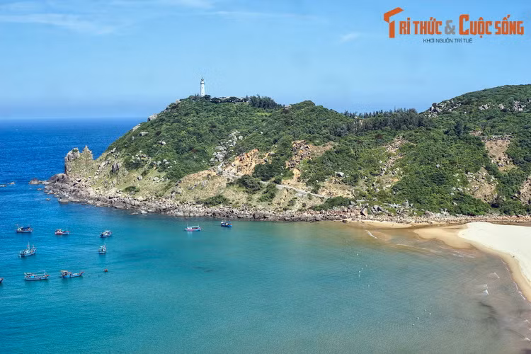 Mũi Đại Lãnh hay Mũi Điện là một mũi đất nhô ra biển từ một nhánh của dãy núi Đèo Cả. Đây là một trong những nơi đón bình minh đầu tiên trên đất liền của lãnh thổ Việt Nam. Trên mũi đất có ngọn hải đăng xa nhất về phía Đông trên đất liền của Việt Nam.