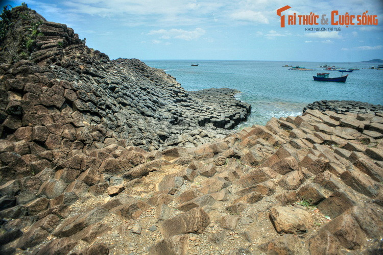 Tọa lạc tại bờ biển xã An Ninh Đông, huyện Tuy An, Gành Đá Đĩa được coi là một kỳ quan địa chất của Việt Nam. Đây là một gành đá được hợp thành từ vô vàn trụ đá hình xếp liền nhau kề với sóng nước. Nhìn từ xa, nơi này trông giống một tổ ong khổng lồ.