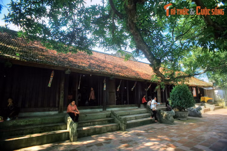 Theo biên niên sử, ngôi chùa cổ này được xây năm 1262 ở phía Tây cung Trùng Quang của các vua nhà Trần. Nhưng theo văn bia, chùa đã có từ thời Lý và được xây dựng lại với quy mô rộng lớn từ năm 1262. Tuy đã nhiều lần tu bổ nhưng chùa vẫn còn giữ được nhiều công trình có từ thời Trần.