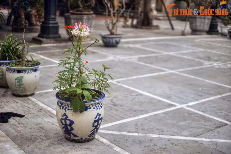 Tiếp nối truyền thống, hội cờ chùa Vua ngày nay được tổ chức vào ngày 6-9 tháng Giêng âm lịch hàng năm. Các ván đấu được thực hiện theo thể thức thi đấu cờ tướng quốc tế.