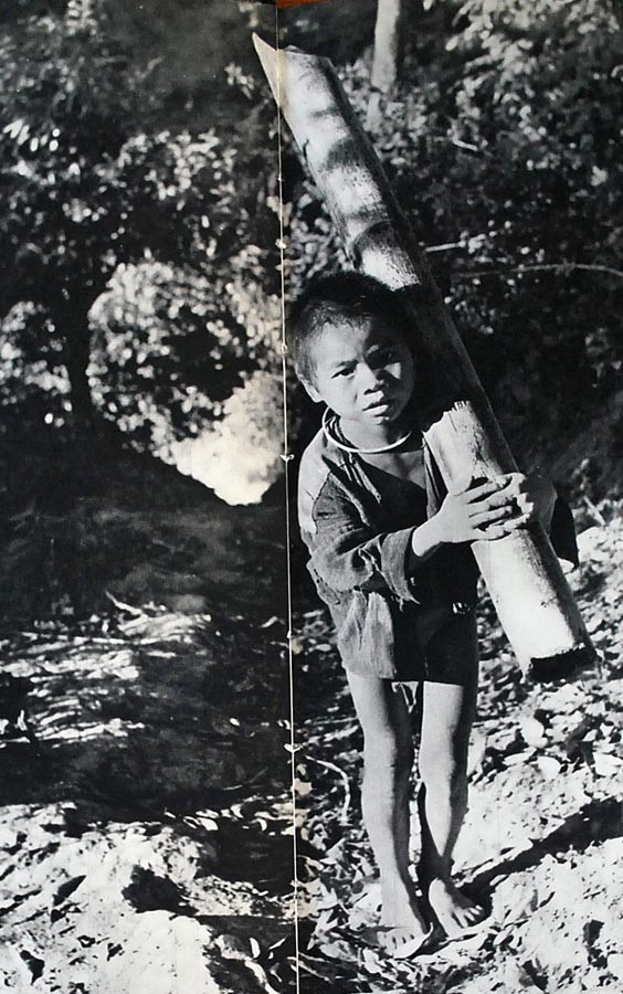 Em bé H’Mông vác gỗ về làm củi cho gia đình.