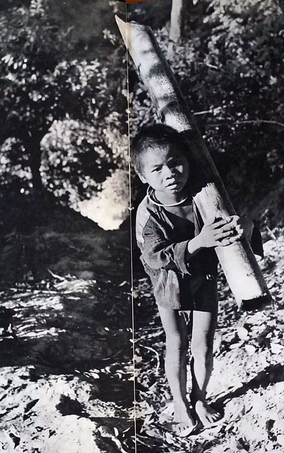 Em bé H’Mông vác gỗ về làm củi cho gia đình.