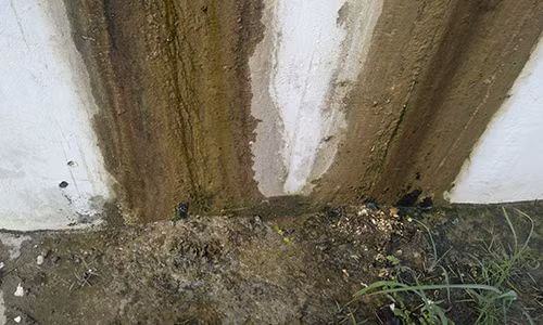 Lo lang nuoc chay xuyen tuong ham chui dai lo nghin ty-Hinh-3