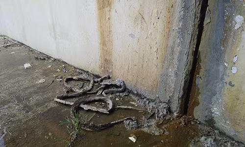 Lo lang nuoc chay xuyen tuong ham chui dai lo nghin ty-Hinh-4