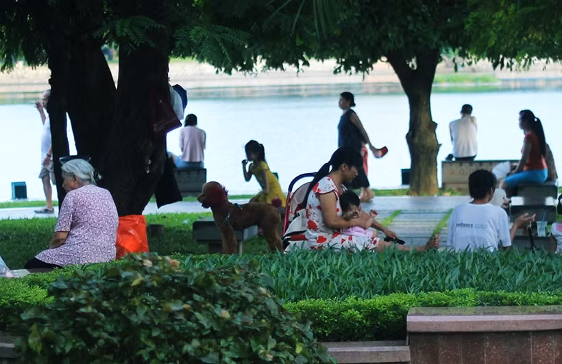 Theo lời một số chủ chó tại khu vực này cho rằng, chó cảnh hay thậm chí nhiều chó lớn do được nuôi nhiều năm nên chúng "rất hiền, thân với con người" nên không cần phải đeo rọ mõm.