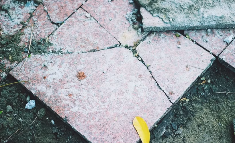 Nhiều viên gạch còn mới nhưng bị vỡ vụn thành 3, 4 mảnh sau khi các công nhân bới lên.