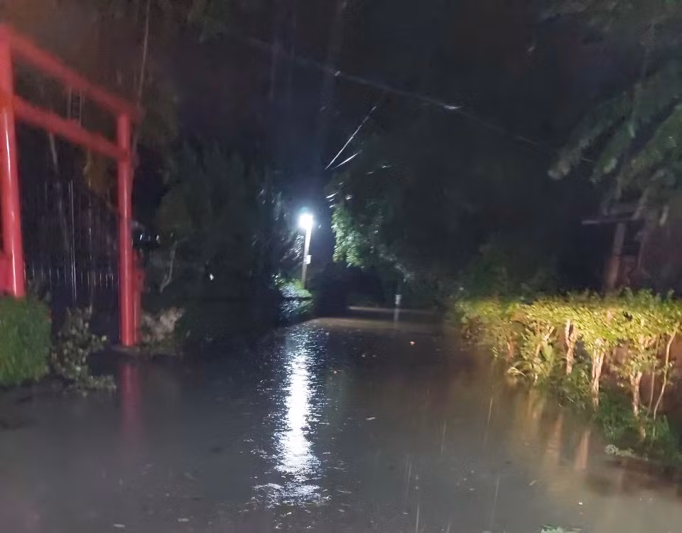 Dự báo, từ 4h ngày 14-16/1, khu vực Quảng Trị có mưa vừa, mưa to, có nơi mưa rất to và dông, lượng mưa phổ biến 30-100mm, có nơi trên 150mm. Cảnh báo, từ sáng sớm 16-17/11 có mưa vừa, mưa to, có nơi mưa rất to và dông với lượng mưa phổ biến 40-80mm, có nơi trên 120mm.