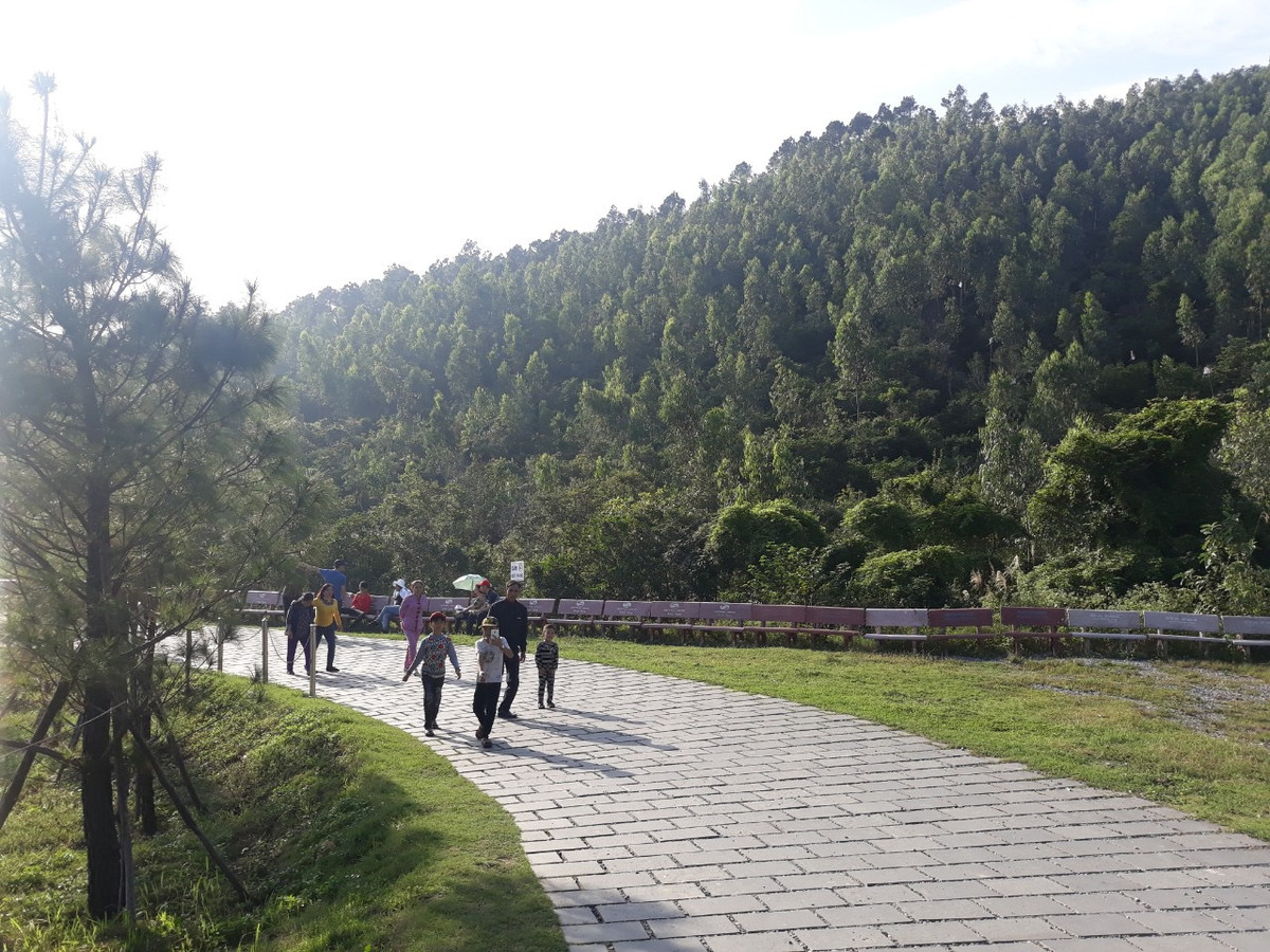 Hoat dong vieng mo Dai tuong Vo Nguyen Giap binh thuong tro lai-Hinh-2