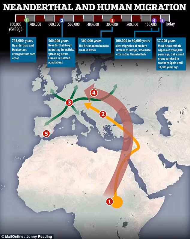 Nghiên cứu mới chỉ ra người Neanderthal đã lựa chọn những loại gỗ thích hợp và sử dụng lửa để tạo ra những công cụ dùng trong cuộc sống hàng ngày.