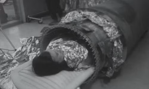 Vào những năm 1960, các chuyên gia tại Hiệp hội Đông lạnh ở Phoenix (bang Arizona, Mỹ) đã thử nghiệm phương pháp có thể giúp con người bất tử.