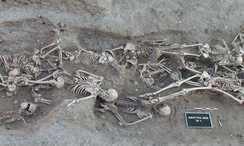 Nhiều người từng tin rằng, do số lượng mèo giảm đi những năm 1300 khiến Đại dịch cái chết đen lây lan nhanh chóng vì chuột được cho là lây lan dịch hạch. Đại dịch khiến hàng trăm triệu người thiệt mạng