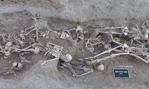 Nhiều người từng tin rằng, do số lượng mèo giảm đi những năm 1300 khiến Đại dịch cái chết đen lây lan nhanh chóng vì chuột được cho là lây lan dịch hạch. Đại dịch khiến hàng trăm triệu người thiệt mạng