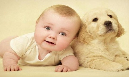 Theo ngũ hành tương sinh tương khắc, Kim sinh Thủy – Thủy sinh Mộc – Mộc sinh Hỏa – Hỏa sinh Thổ – Thổ sinh Kim.