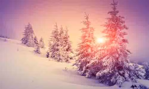 Cũng theo dự đoán ngày mới cho 12 con giáp, tuổi Sửu cố gắng tập trung hoàn thành công việc sẽ nhận được kết quả tốt. Tuy nhiên, bạn không nên lơ là, mất tập trung mà có thể gây ra một số sai sót. Tuổi Sửu được nhiều người quan tâm và có thời gian vui vẻ bên gia đình, bạn bè.