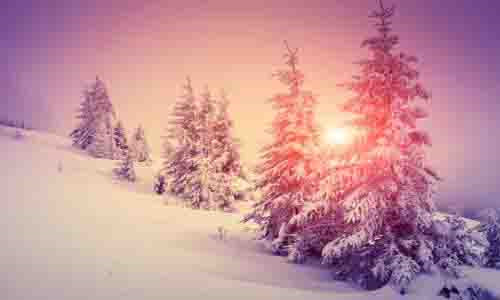 Tuổi Sửu trong tháng 3 được dự đoán sẽ gặp không ít khó khăn, trắc trở trong công việc. Bạn hãy cẩn thận với những kẻ tiểu nhân, tránh gây hiềm khích với bạn bè, đồng nghiệp. Bạn nên tránh đổ tiền đầu tư trong tháng 3. Nếu kinh doanh, hãy chọn đối tác và lên kế hoạch cẩn thận.