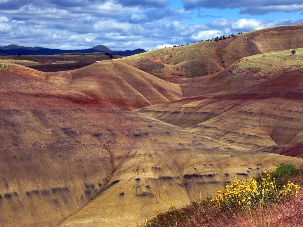 Màu sắc của đồi Sơn thay đổi theo các thời gian trong ngày, theo mùa và còn thay qua hình thế thời tiết khác nhau do các góc độ của mặt trời.