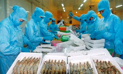 Kim ngạch xuất khẩu nông lâm thuỷ sản năm 2017 lập mốc kỷ lục 36,37 tỷ USD, tăng hơn 4 tỷ USD (tăng 13%) so với năm 2016.