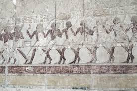 Về sau, nhiệm vụ của Medjay mở rộng ra. Theo đó, họ bảo vệ các khu vực, địa điểm quan trọng như các đền thờ, nhà cửa, tài sản của tầng lớp thượng lưu, quý tộc giàu có.