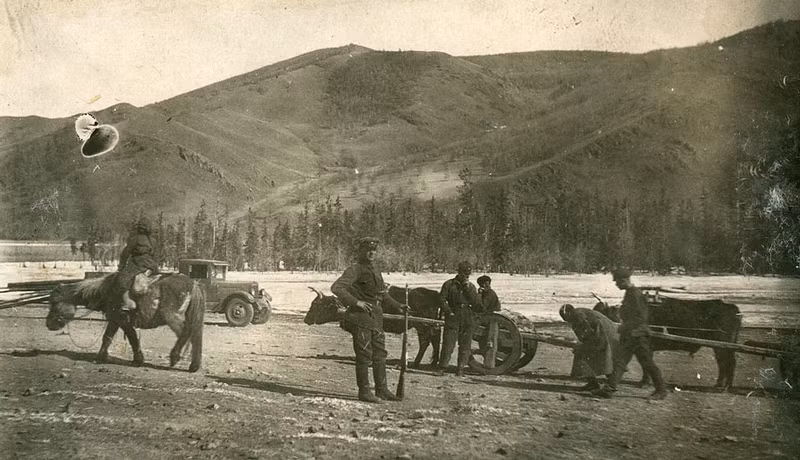 Ngựa được sử dụng làm phương tiện di chuyển và vận chuyển các trang thiết bị quân sự của lính Liên Xô.