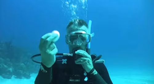 Các nhà khoa học tại Viện Khoa học biển Bermuda tiến hành thí nghiệm đặc biệt khi đập vỡ quả trứng dưới đáy biển ở độ sâu 20m nhằm nghiên cứu tác động của áp suất nước dưới đáy biển đối với lòng trắng và lòng đỏ quả trứng.