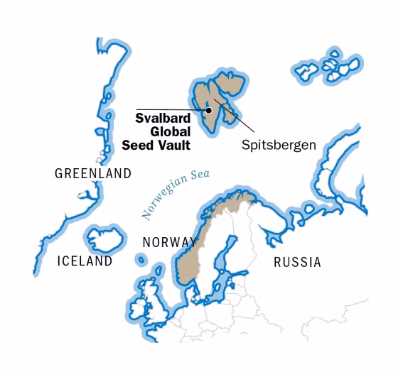 Theo Mashable, hầm hạt giống này có khả năng lưu giữ hơn 4,5 triệu mẫu hạt giống cây trồng.
