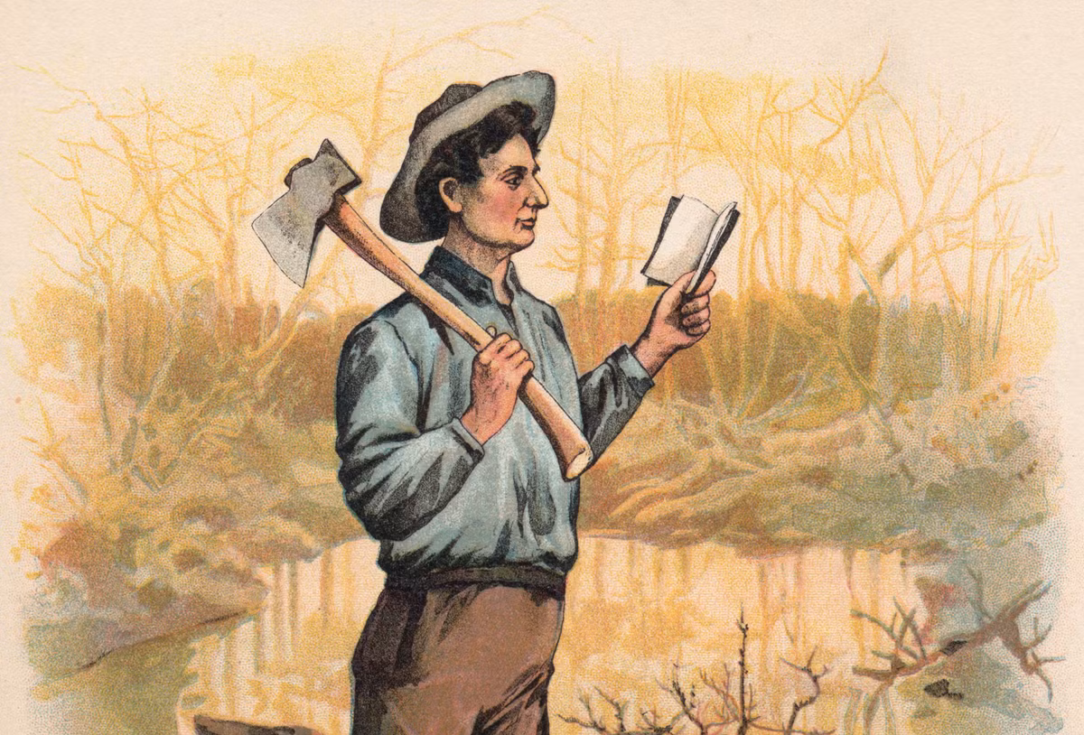 Niềm đam mê học tập, tích lũy kiến thức của Tổng thống Lincoln ngày càng lớn dần. Bất kể làm việc gì, dù đi cày trên cánh đồng, túi áo của ông luôn có một cuốn sách. Ông thường tranh thủ đọc chúng khi cho đàn ngựa kéo cày nghỉ ngơi.