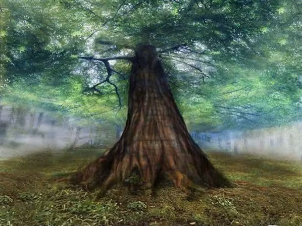 Ngôi nhà của các vị thần Vanir - Vanaheimr tượng trưng cho thế giới của nước, với biểu tượng là những làn gió nhẹ mang lại sự sống đến từ hướng Tây.