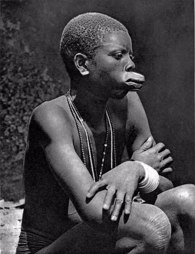 Cụ thể, kích thước đĩa càng lớn thì các cô gái càng được đánh giá cao và gia đình nhà gái càng nhận được nhiều hồi môn là gia súc khi đi lấy chồng.