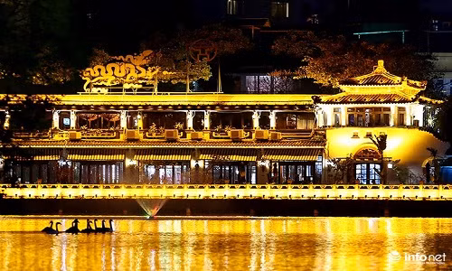 Trưa hôm qua (5/2), 12 con Thiên nga đã được Công ty thoát nước Hà Nội thả ra Hồ Gươm để nuôi thử nghiệm.