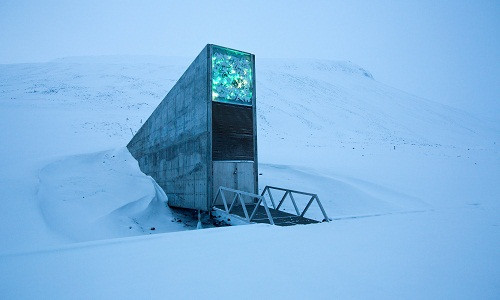 Theo ước tính, hầm hạt giống chống tận thế này hiện lưu giữ và bảo quản hơn 850.000 mẫu hạt giống do các quốc gia cung cấp.