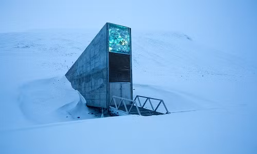 Theo ước tính, hầm hạt giống chống tận thế này hiện lưu giữ và bảo quản hơn 850.000 mẫu hạt giống do các quốc gia cung cấp.