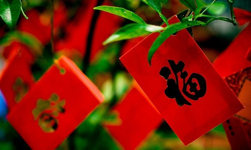 Phúc treo đủng đỉnh, Tết đoàn viên.