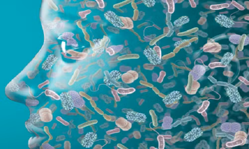 Một sự thật khó tin là trong cơ thể chúng ta luôn tồn tại 100 nghìn tỷ con vi khuẩn. Trong đó có những vi khuẩn gây bệnh và số khác giúp cho bạn khỏe mạnh.