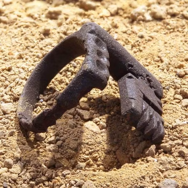 Tuy nhiên, cũng có nhiều chiếc nhẫn chạm khắc hình ảnh của một số sinh vật huyền bí, động vật như cá heo, chim bồ câu, con công... Nhiều ký tự đặc biệt cũng được khắc trên chiếc nhẫn.