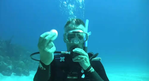 Các nhà khoa học tại Viện Khoa học biển Bermuda tiến hành thí nghiệm đặc biệt khi đập vỡ quả trứng dưới đáy biển ở độ sâu 20m nhằm nghiên cứu tác động của áp suất nước dưới đáy biển đối với lòng trắng và lòng đỏ quả trứng.