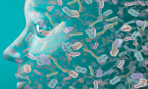 Một sự thật khó tin là trong cơ thể chúng ta luôn tồn tại 100 nghìn tỷ con vi khuẩn. Trong đó có những vi khuẩn gây bệnh và số khác giúp cho bạn khỏe mạnh.