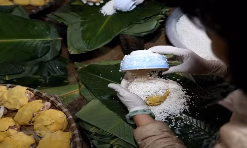 Làng Tranh Khúc thuộc xã Duyên Hà, huyện Thanh Trì (Hà Nội) từ lâu nổi tiếng với nghề gói bánh chưng. (Ảnh: Vũ Sinh/TTXVN)