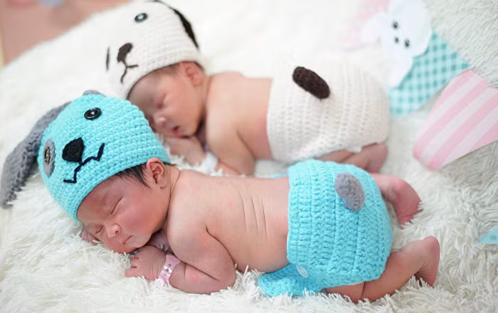 Bố mẹ sinh con trai năm Mậu Tuất 2018 cầm tinh con chó, mệnh ngũ hành là hành Mộc - Bình Địa Mộc (tức mệnh Mộc – Gỗ đồng bằng).