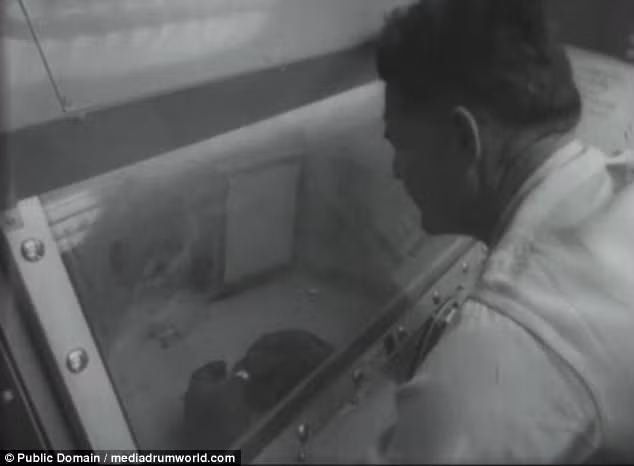 Theo đó, các nhà khoa học đã tiến hành nghiên cứu kỹ thuật đông lạnh. Các chuyên gia hy vọng với kỹ thuật đông lạnh sẽ có thể hồi sinh con người sau khi chết.