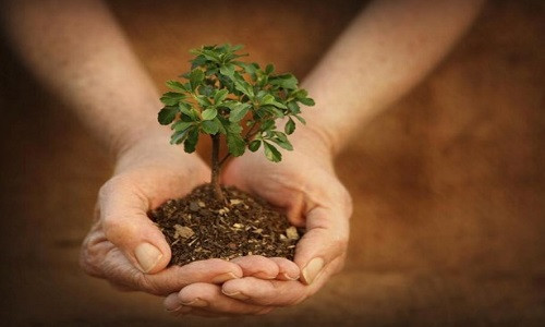 Có báu vật này thì cả đời bạn chẳng sợ điều gì, mọi tai ương đều qua hết. Ảnh minh họa. Nguồn: Internet.