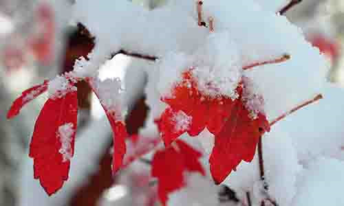 Tuổi Ngọ sẽ có nhiều cơ hội gặp gỡ và tạo dựng mối quan hệ mới trong công việc. Tuy nhiên, bạn cũng nên cẩn thận, tránh bị tiểu nhân hãm hại. Chuyện tình cảm của bạn có lúc sẽ không được như ý. Hãy dành thời gian ở bên người yêu thương để hai bên thấu hiểu nhau hơn.