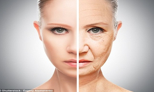 Tiến sĩ Pearson cho rằng, thế giới thực tế ảo có thể được tạo ra để con người tải ý thức của mình lên sau khi cơ thể bằng xương bằng thịt của họ không còn nữa.