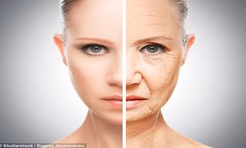 Tiến sĩ Pearson cho rằng, thế giới thực tế ảo có thể được tạo ra để con người tải ý thức của mình lên sau khi cơ thể bằng xương bằng thịt của họ không còn nữa.