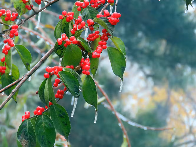Tài vận của tuổi Hợi không được tốt. Đôi lúc bạn tiêu xài hơi quá tay. Do vậy, cần chú ý chuyện chi tiêu, tránh rơi vào tình trạng "cháy túi" khi chưa hết tháng. Công việc của bạn không có nhiều biến động. Thông tin trong bài mang tính chất tham khảo!