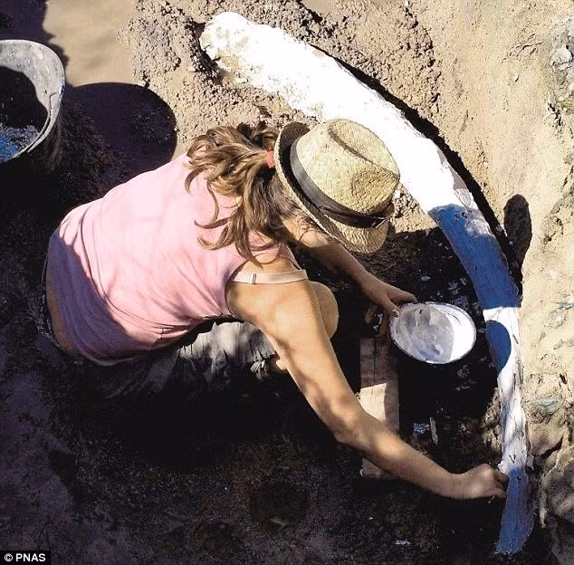 Những hiện vật này được các chuyên gia tìm thấy trong cuộc khai quật tàn tích phòng tắm ở Poggetti Vecchi, miền Nam Tuscany năm 2012.