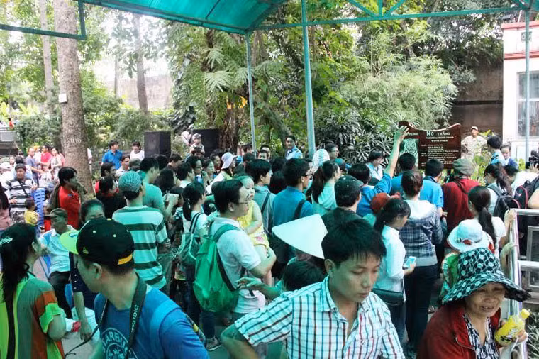 Ông Phan Việt Lâm, Giám đốc Công ty TNHH MTV Thảo Cầm Viên Sài Gòn, cho biết: “Sau 6 năm nuôi dưỡng, đến nay, hổ trắng đã sống tốt và sinh đẻ được 3 chú hổ con. Điều này chứng tỏ những chú hổ trắng quý hiếm đã thích nghi với khí hậu miền Nam Việt Nam”.