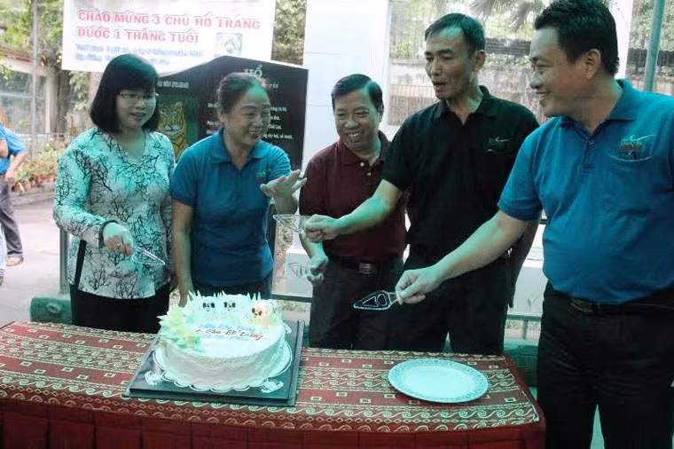 Ban giám đốc Thảo Cầm Viên làm nghi thức cắt bánh mừng đầy tháng hổ con.
