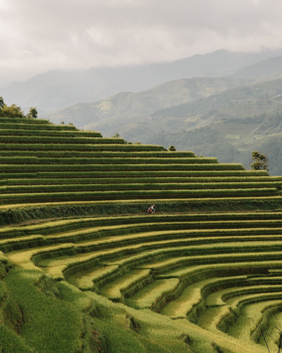 Ruộng bậc thang, Yên Bái